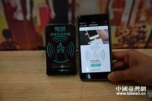 四川熊貓 烏木亮相大陸臺資企業(yè)產(chǎn)品展銷會