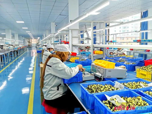 快訊 臨夏州第一家電子廠 科司特 在康樂縣生產(chǎn)步入正軌