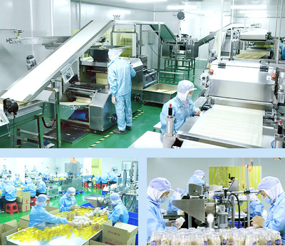 源頭工廠童世界凍干水果豆兒童營養(yǎng)輔食水果粒批發(fā)多口味可定制產(chǎn)品展示